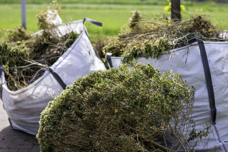 Bush Trimming Service in Rockwall, TX