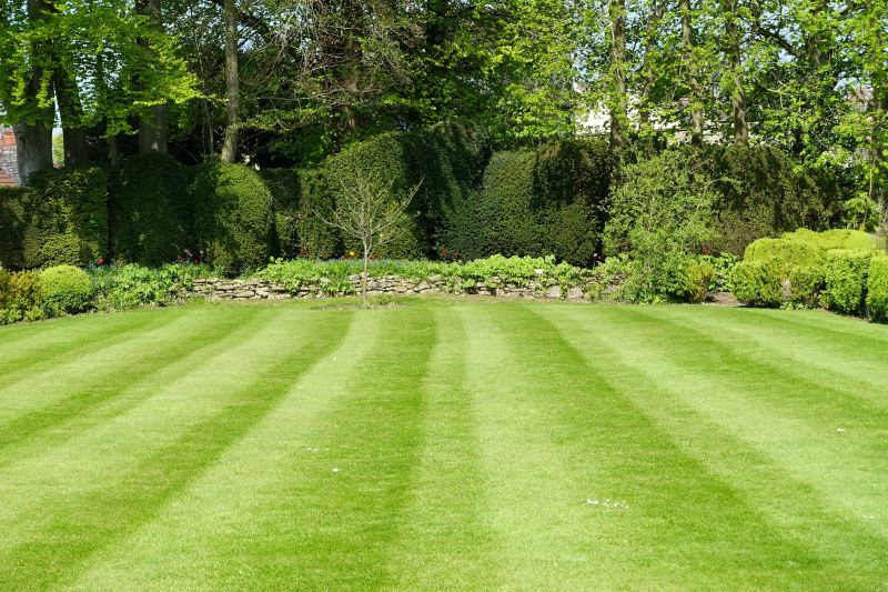 Proper Lawn Trimming Techniques
