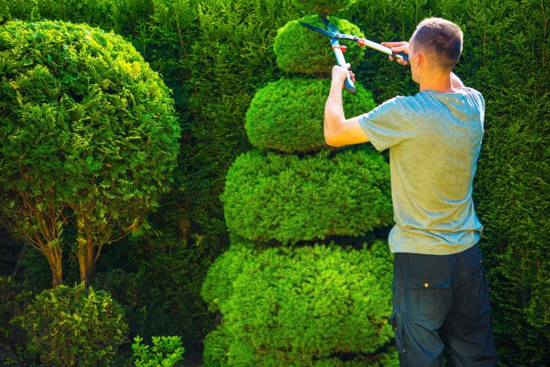 Pruning Shrubs