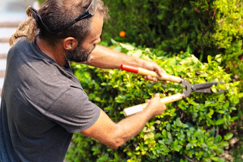 Shrubs with Pruning Debris