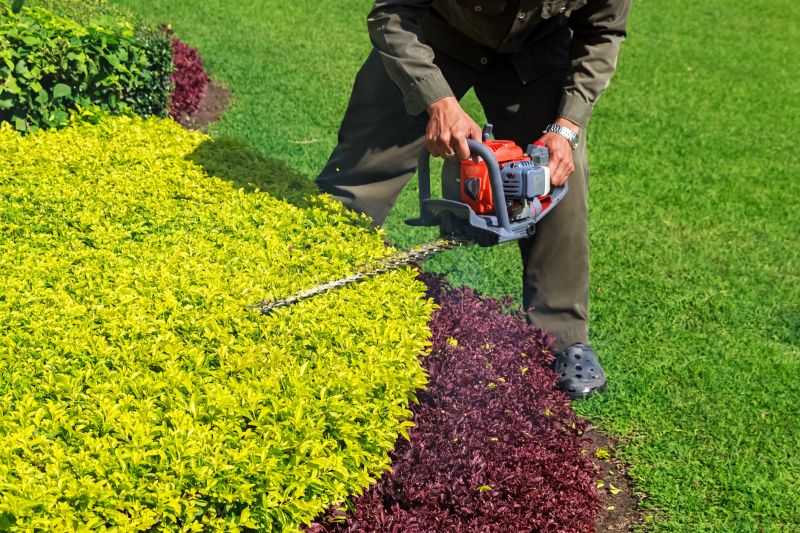 Close-up of Trimmed Shrubs